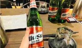 乌苏啤酒爆料视频最新版,揭秘品牌背后的故事与魅力